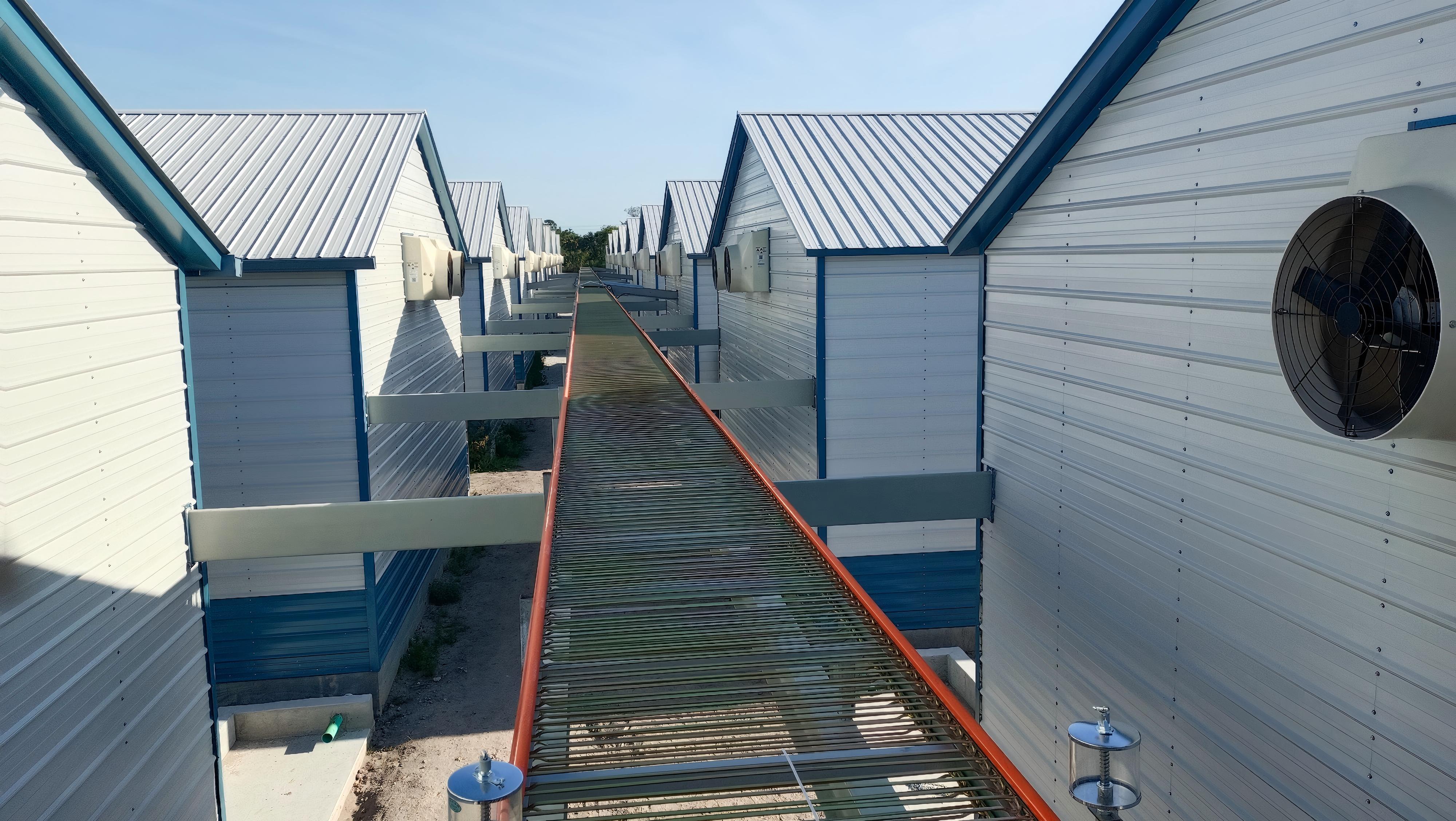 Hoa Kỳ Dự án 400.000 lớp không lồng