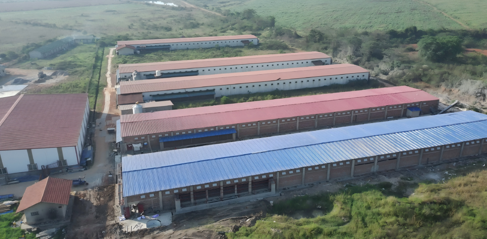 Dự án 1 triệu lớp ở Uganda