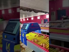 Farmrob 99,8% độ chính xác Bộ đếm trứng thông minh 25W 220V 50HZ ISO9001 được phê duyệt