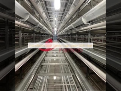 Hệ thống lồng gà lớp hiệu quả về chi phí Q235 thép