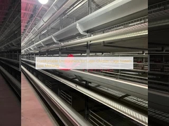 Môi trường thoải mái cho Hệ thống lồng nuôi gà đẻ, Tỷ lệ chết thấp