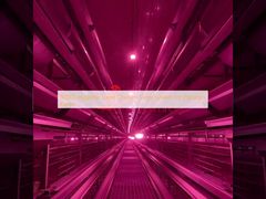 Hệ thống lồng gà lớp vệ sinh 80000 con cho trang trại Pakistan