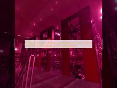 Hệ thống lồng gà đẻ 60000 con an toàn cho trang trại Nga, 9 con/ô và thiết kế thân thiện với môi trường