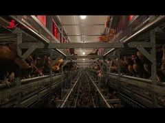 Large-Cage Enriched Colony System