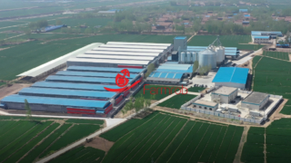 trang trại | Trang trại 3 triệu gà đẻ ở Sơn Đông