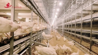 Hệ thống phúc lợi Farmrob