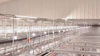 Hệ thống không lồng Farmrob hiệu suất tốt