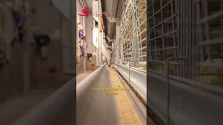 Trang trại | Máng hợp kim Al-Zn-Mg #poultryfarm #gà