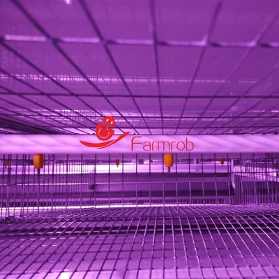 6 Tiers Automatic Quail Raising Equipment H Type 20 Years Long Lifespan